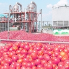 Tomato Processing Machinery Tomato Processing Line For Tomato Juice / Tomato Paste Production