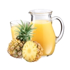 50Hz Automatic Pineapple Processing Line Fruit Extractor Machine