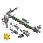 Automatic Industrial Orange Processing Line Citrus Juice Machine SUS316