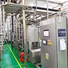 50T/H Industrial Mango Processing Line Automatic Mango Processing Plant Equipment