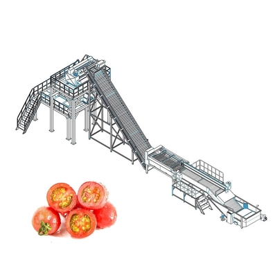 40TPH Tomato Processing Line Automatic Concentrated Paste Making Machine