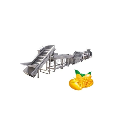 50T/H Industrial Mango Processing Line Automatic Mango Processing Plant Equipment
