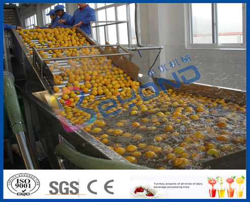 Het Fruit van de Steplessverschuiving en Plantaardige Verwerkingsapparaat, Fruit en Plantaardige Wasmachinemachine