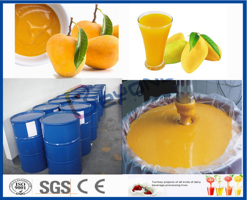 Van de de Machinemango van de fruitbewerker de Verwerkingslijn voor de Installatie van de Sapverwerking