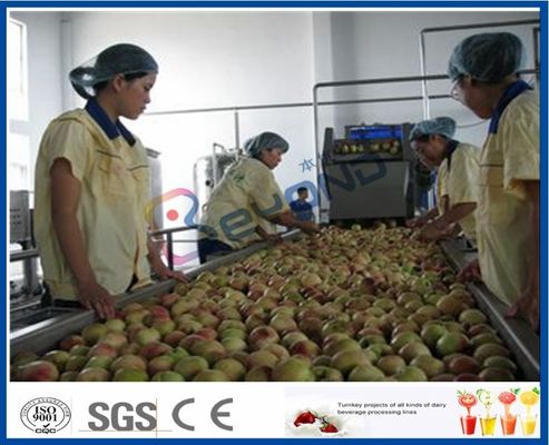 Perzik/Abrikozen/Pruim de Fruitverwerkingsmachines van de Vruchtensapproductielijn