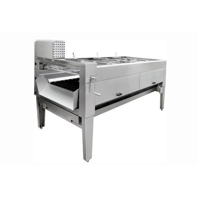De automatische Verse Gember/Kurkuma Schonere Wasmachine van het Roestvrij staalfruit