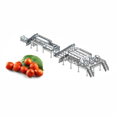 Industriële Granaatappel Juice Production Line 2 - 50T/H-Granaatappel Juice Making Equipment
