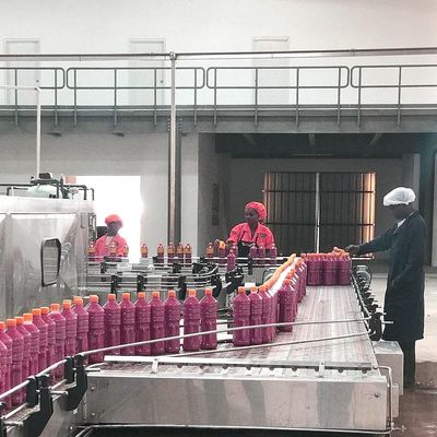 SUS304 de automatische Lijn van de Tomatenverwerking voor Tomatenpuree het Maken